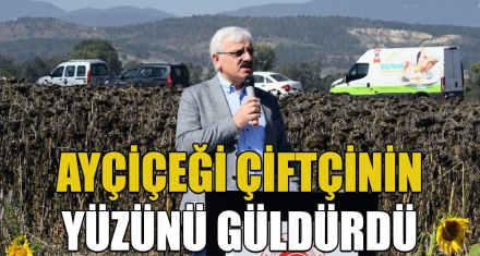 AYÇİÇEĞİ ÇİFTÇİNİN YÜZÜNÜ GÜLDÜRDÜ