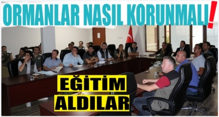 ORMANLARIMIZ NASIL KORUNMALI?