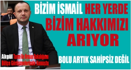 AKGÜL BÜTÇE GÖRÜŞMELERİNDE KONUŞTU
