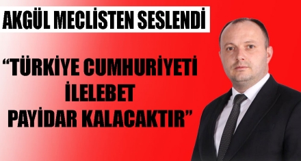 AKGÜL MECLİSTEN SESLENDİ