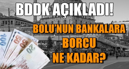 BOLU'NUN BANKALARA BORCU NE KADAR?