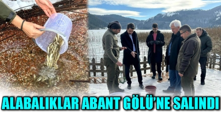 ALABALIKLAR ABANT GÖLÜ'NE SALINDI