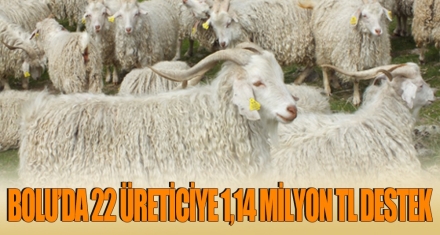 BOLU'DA 22 ÜRETİCİYE 1,14 MİLYON TL DESTEK