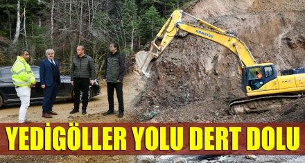YEDİGÖLLER YOLU DERT DOLU