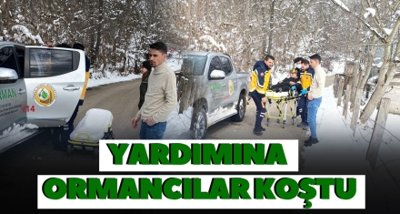 YARDIMINA ORMANCILAR KOŞTU