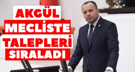 AKGÜL MECLİSTE VATANDAŞLAR İÇİN KONUŞTU