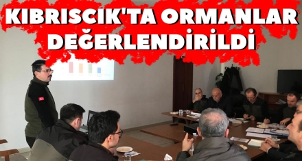 KIBRISCIK'TA ORMANLAR DEĞERLENDİRİLDİ