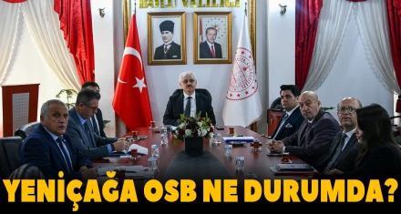 YENİÇAĞA OSB NE DURUMDA?