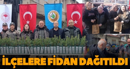 İLÇELERE FİDAN DAĞITILDI