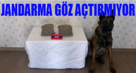 JANDARMA GÖZ AÇTIRMIYOR