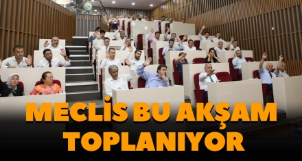 MECLİS BU AKŞAM TOPLANIYOR