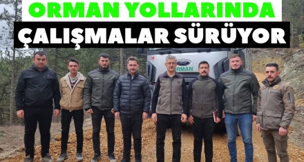 MUDURNU'DA ORMAN YOLLARINDA ÇALIŞMALAR SÜRÜYOR