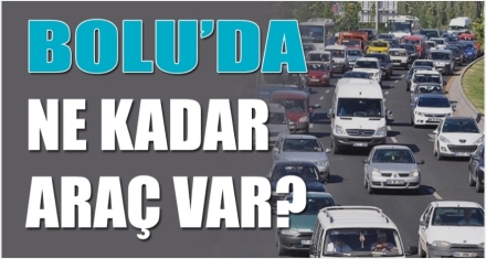 TRAFİĞE KAYITLI KAÇ ARAÇ VAR