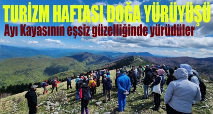 AYI KAYASINA YÜRÜDÜLER