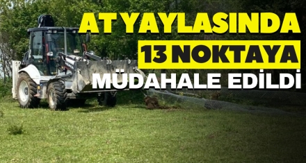 AT YAYLASINDA 13 NOKTAYA MÜDAHALE EDİLDİ