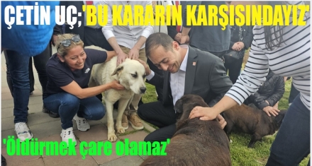 ÇETİN UÇ; ‘HER CANLININ YAŞAM HAKKI VARDIR'