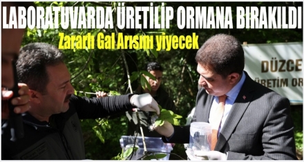 LABORATUVARDA ÜRETİLDİ 