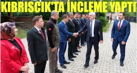 VALİ KILIÇ KIBRISCIK'TA İNCELEMELERDE BULUNDU
