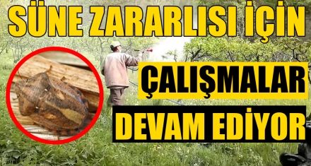 SÜNE ZARARLISI İÇİN ÇALIŞMALAR DEVAM EDİYOR