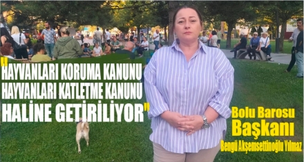 Koruma konunu katletme kanunu haline getiriliyor