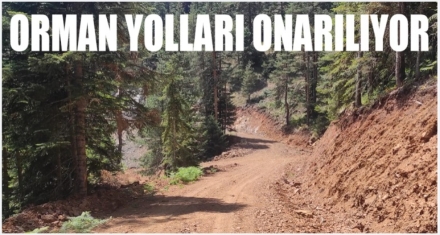 Orman yolları onarılıyor