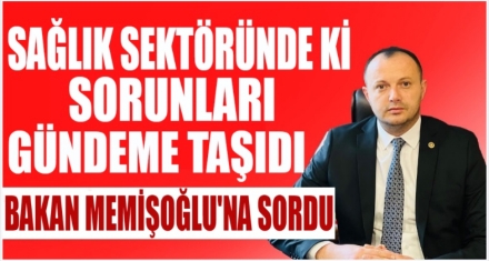 SAĞLIKTA Kİ SORUNLARI MECLİSE TAŞIDI
