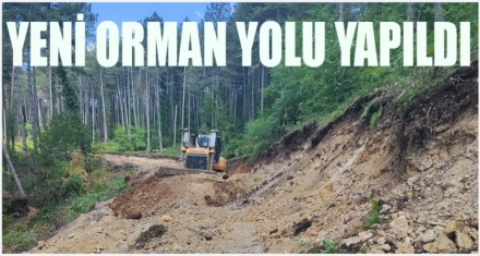 Yeni orman yolu yapıldı 