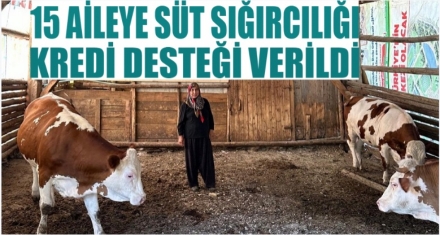 15 aileye süt sığırcılığı kredi desteği