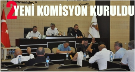 MECLİS'TE İKİ KOMİSYON DAHA KURULDU