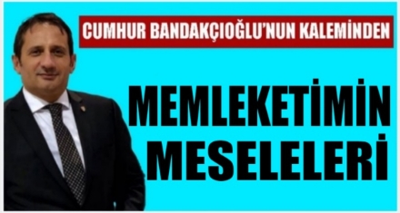 MEMLEKETİMİN MESELELERİ