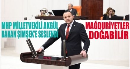 AKGÜL; ‘TASLAĞIN YENİDEN DÜZENLENMESİ GEREKMEKTEDİR'