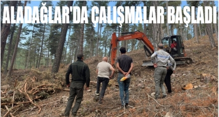 Aladağ'da gençleştirme çalışması yapıldı