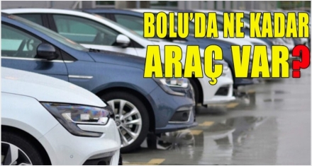 Bolu'da trafiğe kayıtlı kaç araç var