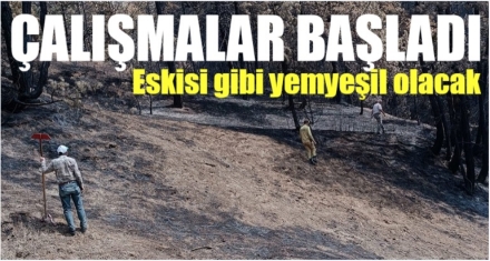 EN KISA ZAMANDA AĞAÇLANDIRILACAK