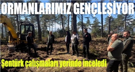 GENÇLEŞTİRME ÇALIŞMALARI DEVAM EDİYOR