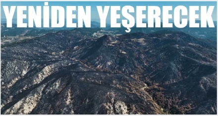 Göynük'te çalışmalar hızla ilerliyor