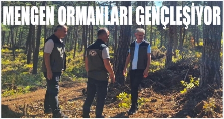 Şentürk çalışmaları yerinde inceledi
