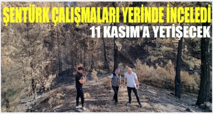Şentürk çalışmaları yerinde inceledi