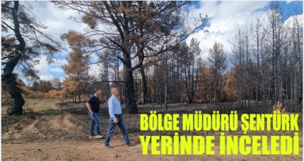Şentürk, yerinde inceledi