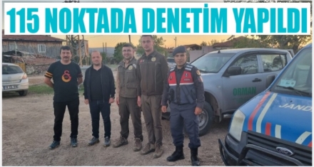 115 farklı noktada denetim yapıldı