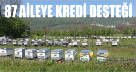 ORMAN KÖYLÜLERİNE 7 MİLYON 205 BİN TL DESTEK KREDİSİ VERİLDİ