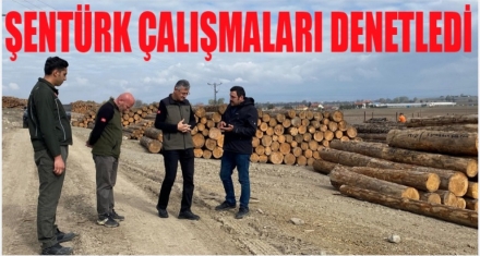 Şentürk çalışmaları denetledi
