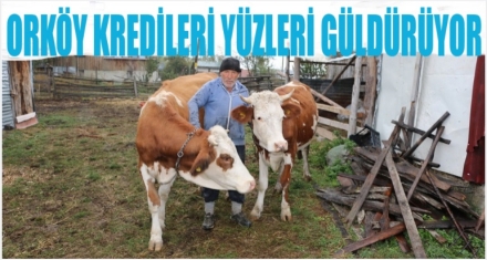 Süt sığırcılığı kredileri  yüzleri güldürdü
