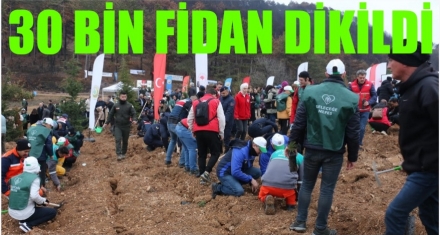 30 bin fidan dikildi