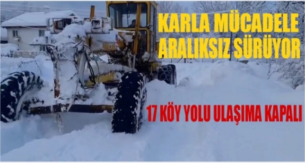 KARLA MÜCADELE ARALIKSIZ SÜRÜYOR