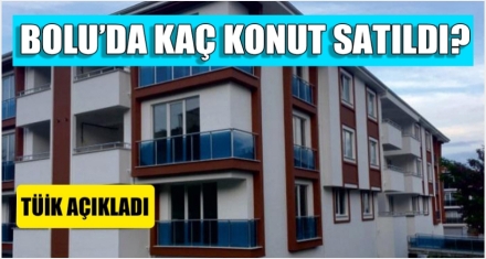 BOLU'DA NE KADAR KONUT SATILDI?