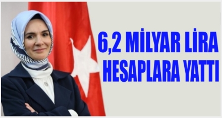 6.2 milyar lira hesaplara yattı