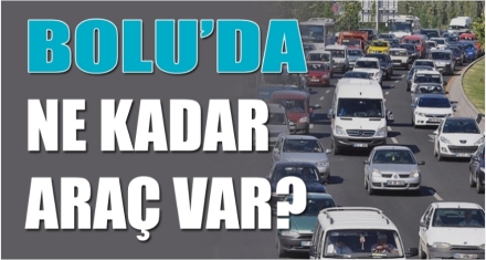 Bolu'da trafiğe kayıtlı araç sayısı