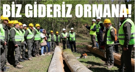 Biz gideriz ormana!