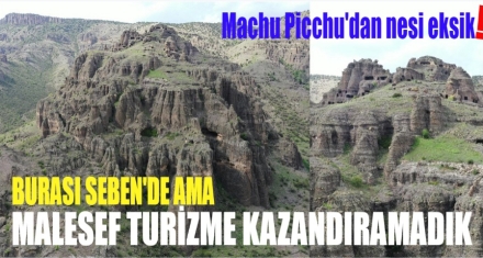 NE ZAMAN SAHİP ÇIKACAKSINIZ?